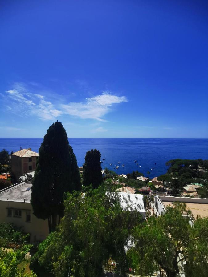 Marenostrum بييفي ليجوري المظهر الخارجي الصورة